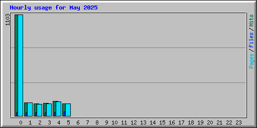Hourly usage for May 2025