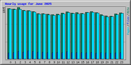 Hourly usage for June 2025